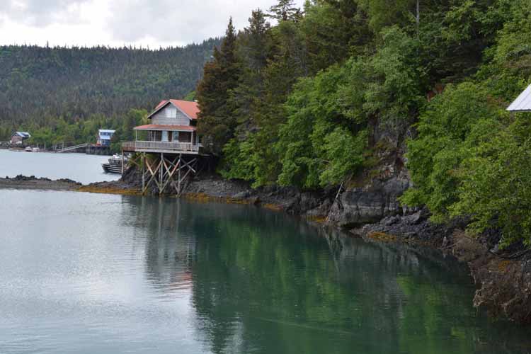 homes at halibut cove
